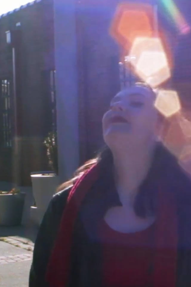 “Whistling Dixie” – Music Video
